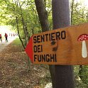 Sentiero funghi (7).JPG